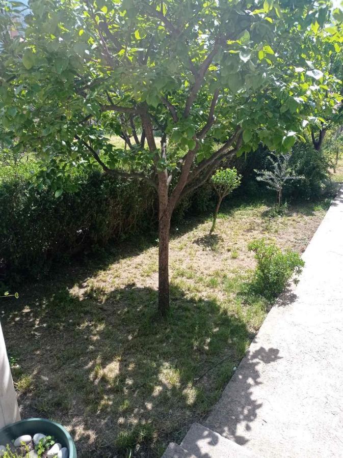 קוטור Apartment Ivan מראה חיצוני תמונה